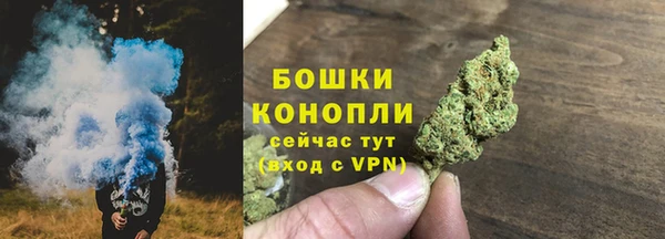 СК Новодвинск