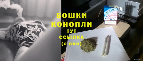 СК Новодвинск