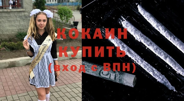 СК Новодвинск