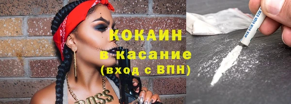 СК Новодвинск